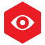 Enterprise Icon