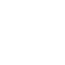 Network Icon