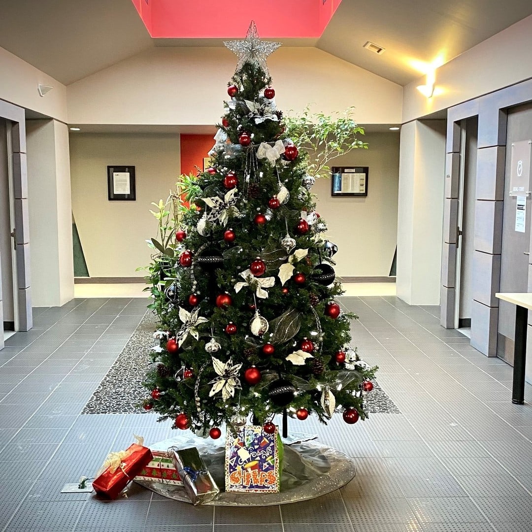 As we head into the long weekend, Brock wants to wish all a safe and happy holiday season! Sharing our holiday spirit this year, here is a shot of the tree on display in one of our lobbies at our Kitchener office 🎄 Happy Holidays! #LifeAtBrock